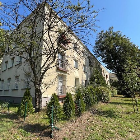 Apartament Centrum Rp Katowice Esterno foto